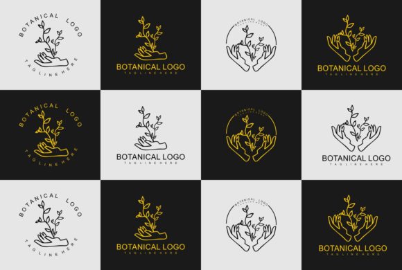 Latest Minimal Botanical Simple Logo for Graphics and Logos