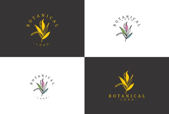 Unique Beautiful Botanical Logo Design for Graphics and Logos